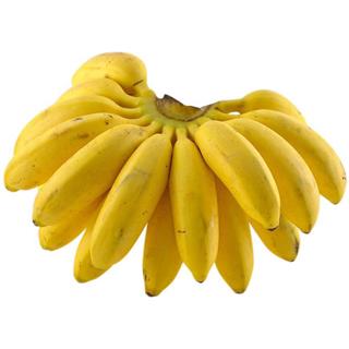 Banano Murrapo del Éxito  0.15 kg