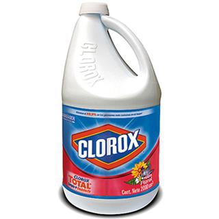 Blanqueador con Aroma Floral Clorox 2 000 ml