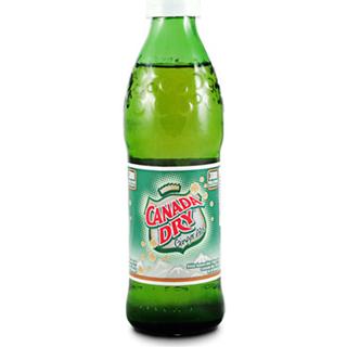 Gaseosa Ginger Ale Canada Dry  300 ml