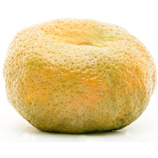 Mandarina Arrayana del Éxito  0.43 kg