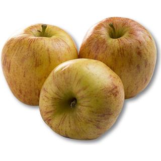 Manzana Gala del Éxito  0.21 kg