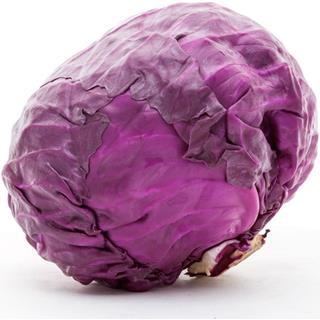 Repollo Morado del Éxito 2 000 g