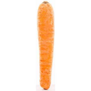 Zanahoria del Éxito  290 g