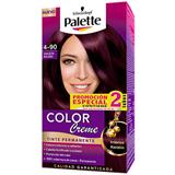 Coloración Capilar Permanente 4-90 Violeta Rojizo Palette  2 unidades en Éxito