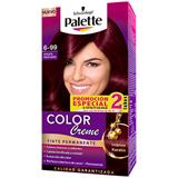 Coloración Capilar Permanente 6-99 Violeta Profundo Palette  2 unidades en Éxito