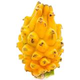 Pitaya del Éxito  0.34 kg en Carulla