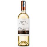 Vino Blanco Chardonnay Castillo de Molina  750 ml en Jumbo