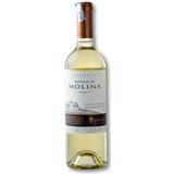 Vino Blanco Sauvignon Castillo de Molina  750 ml en Éxito