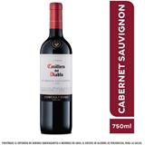 Vino Tinto Cabernet Sauvignon Casillero del Diablo  750 ml en Éxito