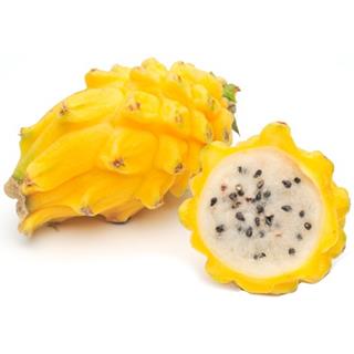 Pitaya