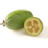 Guayaba Feijoa